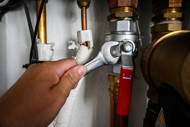 Best Emergency Plumber  in Dawson, MN